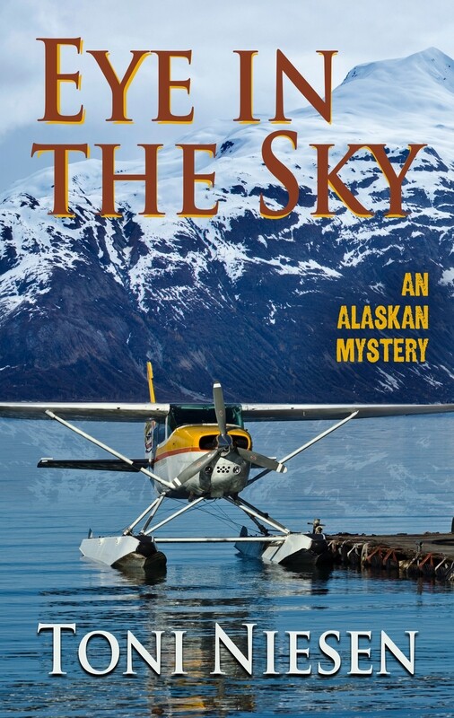 Eye in the Sky by Toni Niesen Eye in the Sky by Toni Niesen