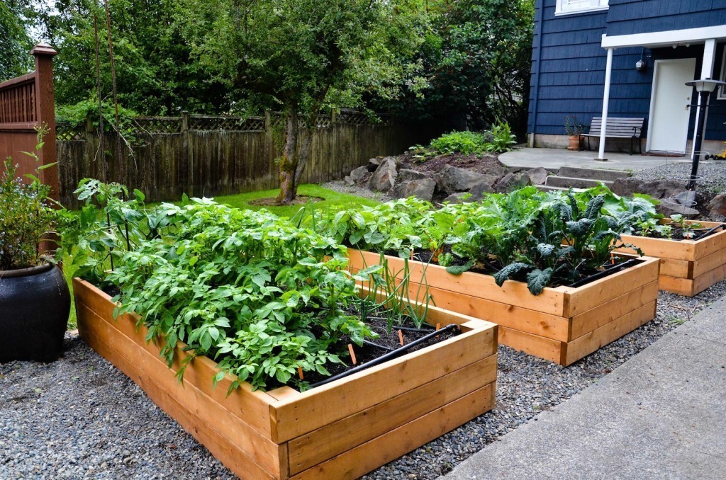 Backyard Garden Sponsorship