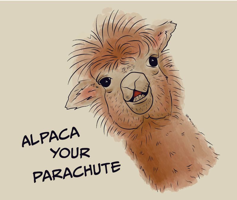 Bella+Canvas Unisex Triblend Short sleeve tee- Alpaca Chute