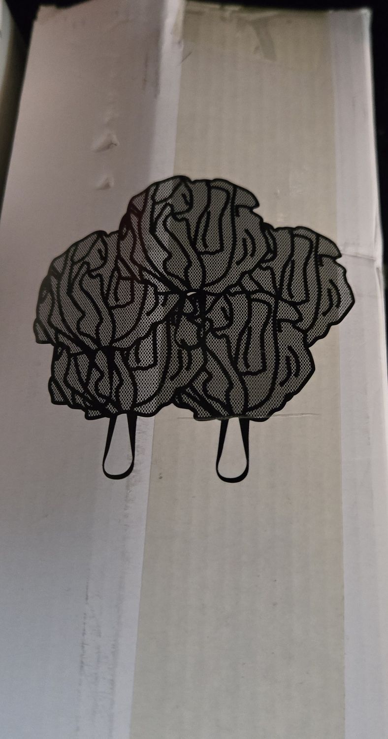Shower Loofah