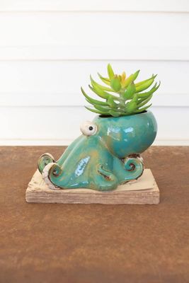 Octopus Planter