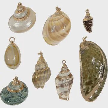 Gold Trimmed Shell Pendant Charm