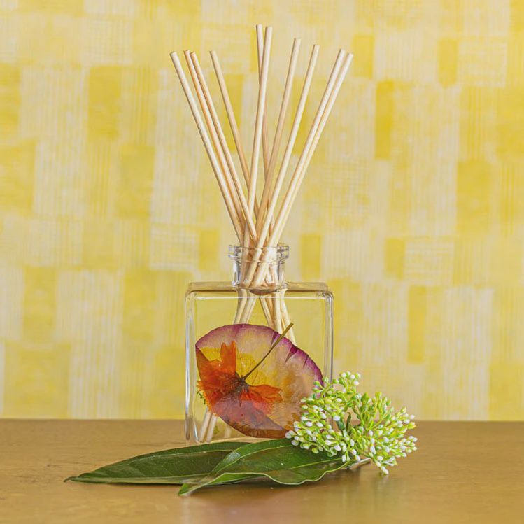 BOTANICAL REED DIFFUSER, SCENT: sugared citrus