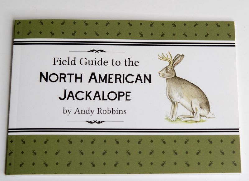 Children&#39;s Books