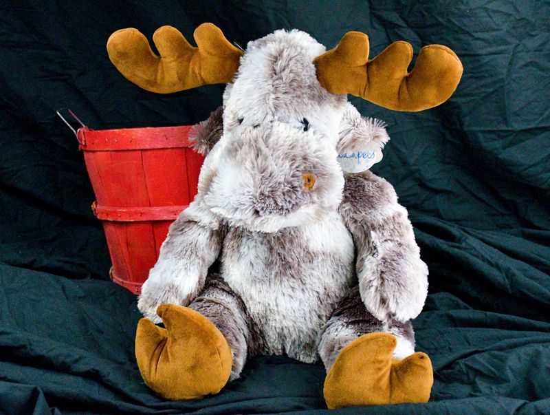 Stuffed Animals