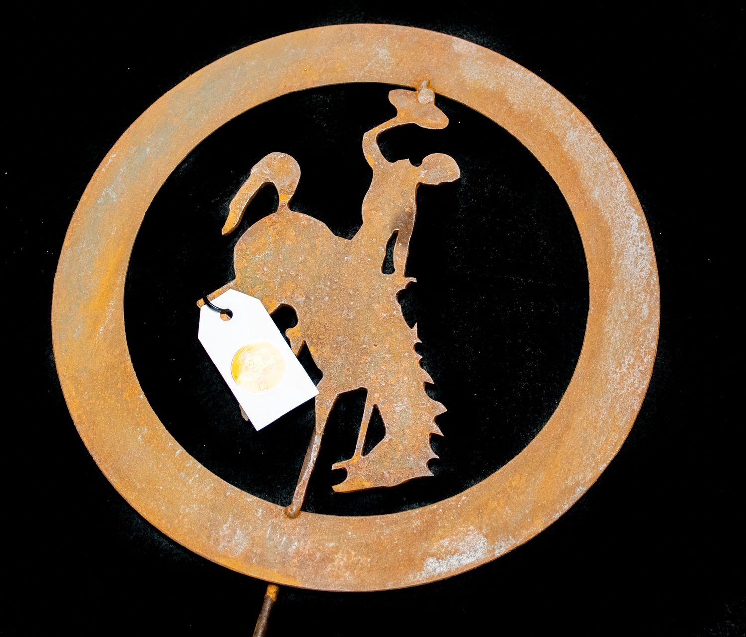 Iron Garden Stakes