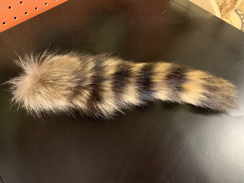Animal Tails