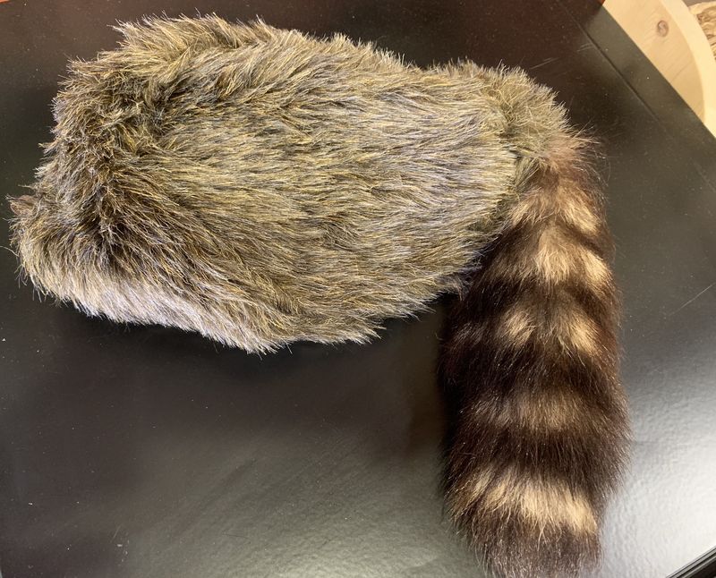 Coon Skin Hat