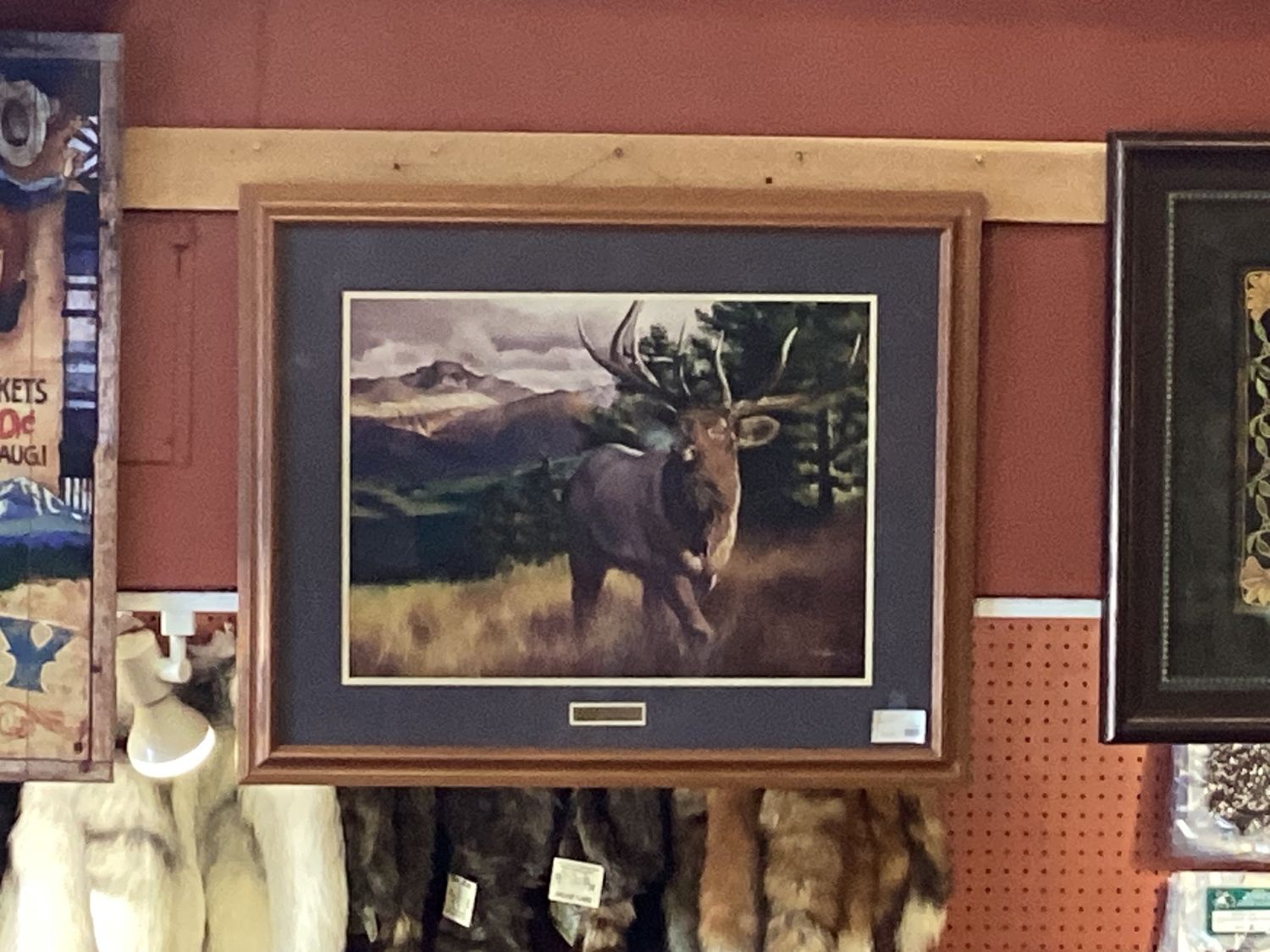 Framed Canvas Estes Elk