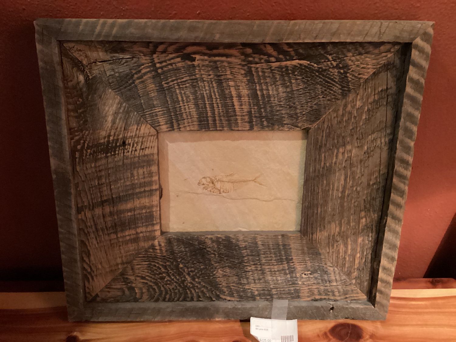 Framed Fish Fossil