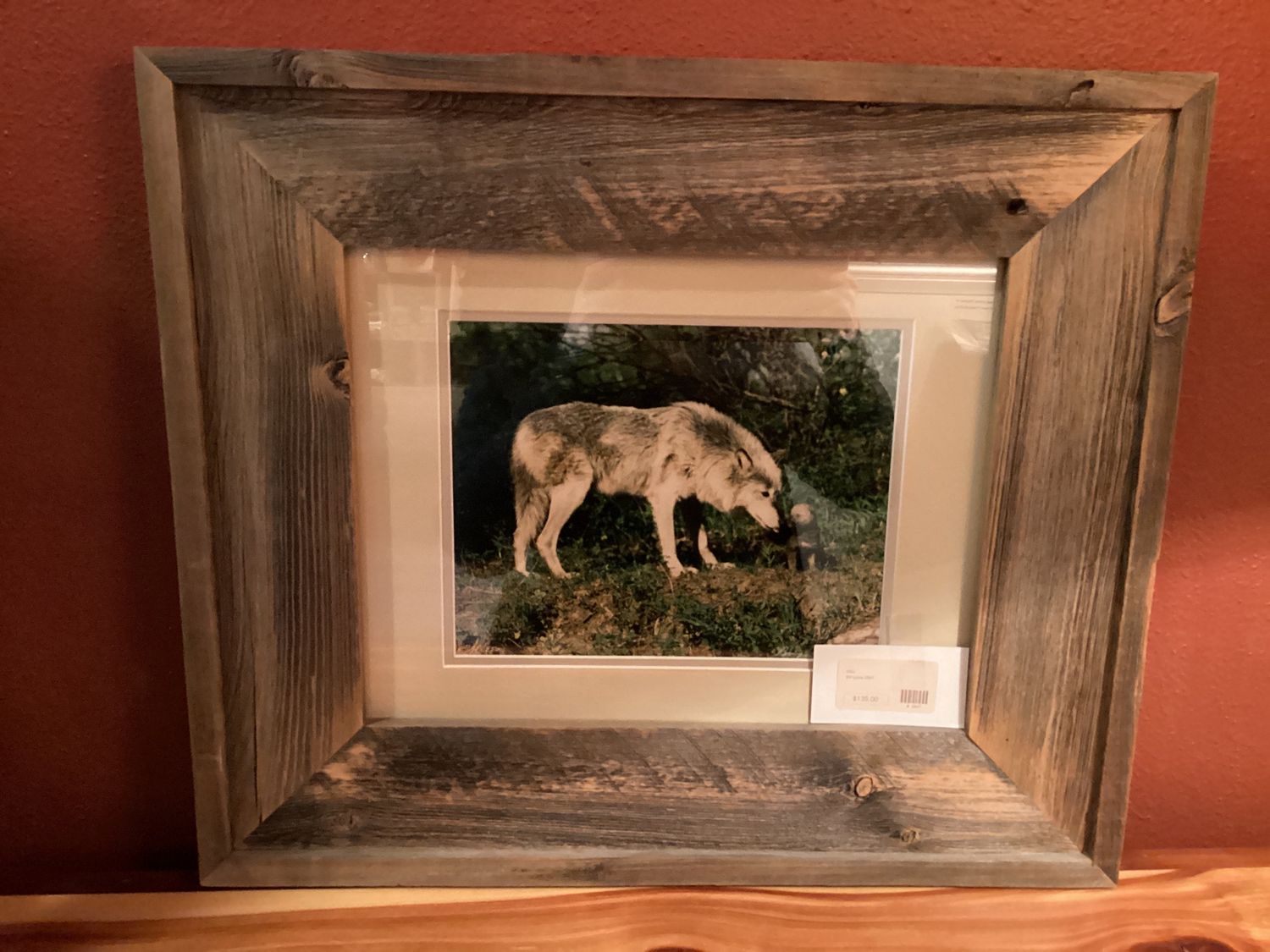 Framed Wolf Photograph