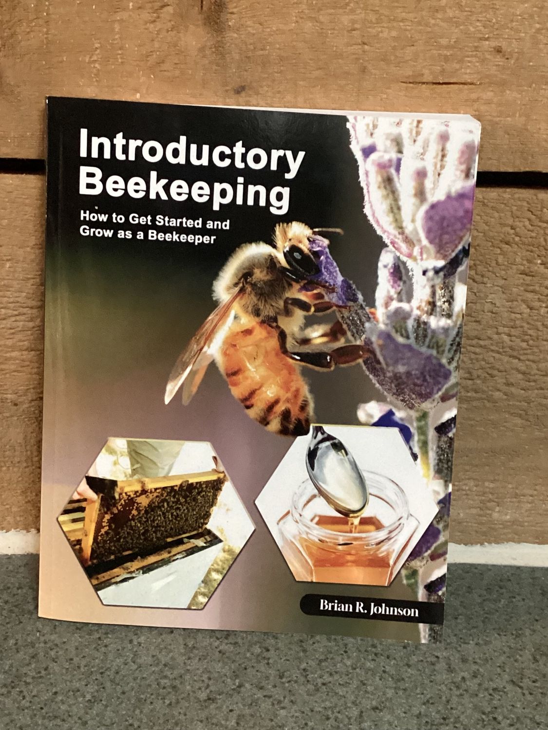 Queen Bee Books