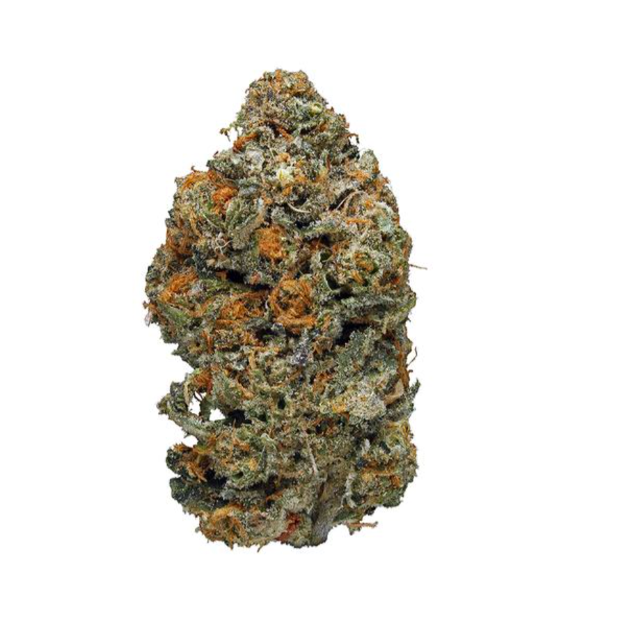 Frosted Animal Cookies