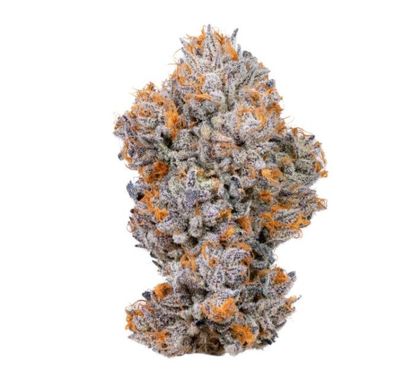 Flower (Hybrid)