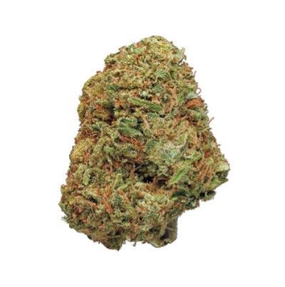 Northern Lights