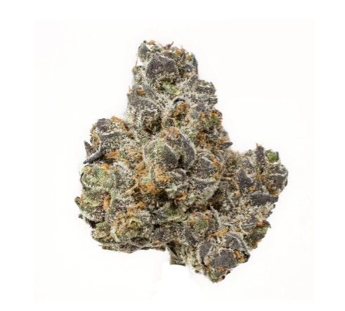 Apple Fritter