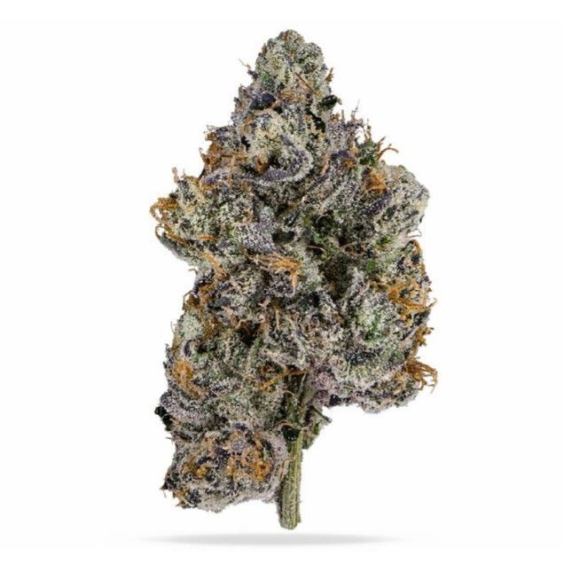 Lemon Cherry Gelato