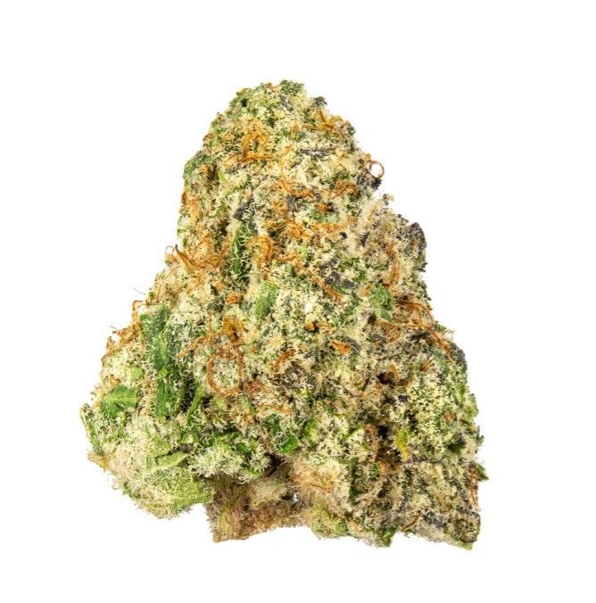 Watermelon Mimosa