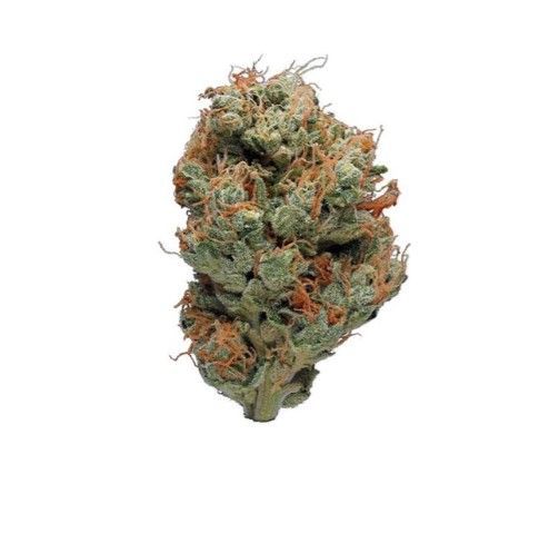 NYC Diesel