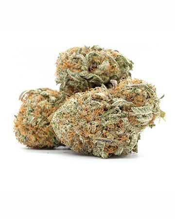 Northern lights x g13