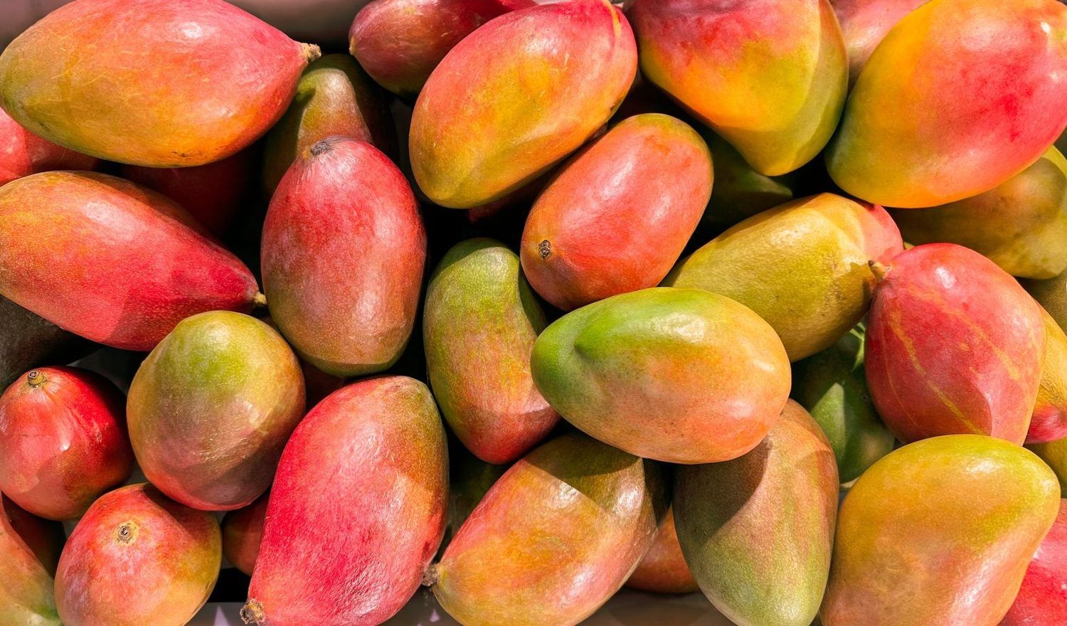 Alfoos Mango White Balsamic Vinegar