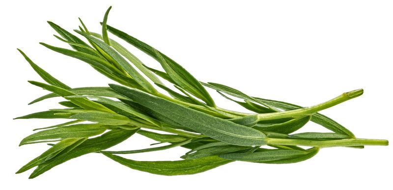French Tarragon White Balsamic Vinegar