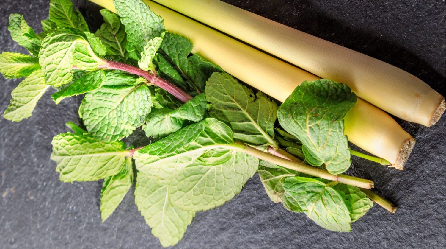 Lemongrass White Balsamic Vinegar