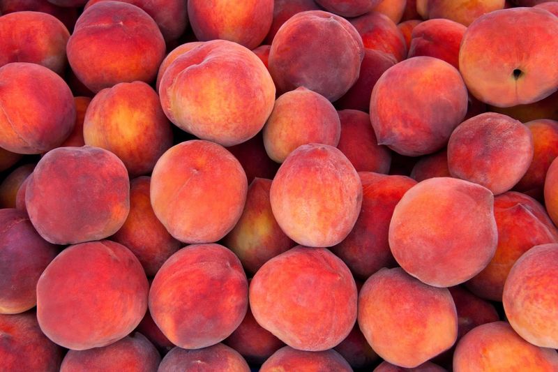 Ripe Peach White Balsamic Vinegar