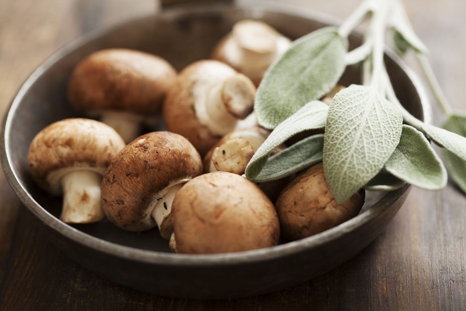 Wild Mushroom & Sage Infused Olive Oil