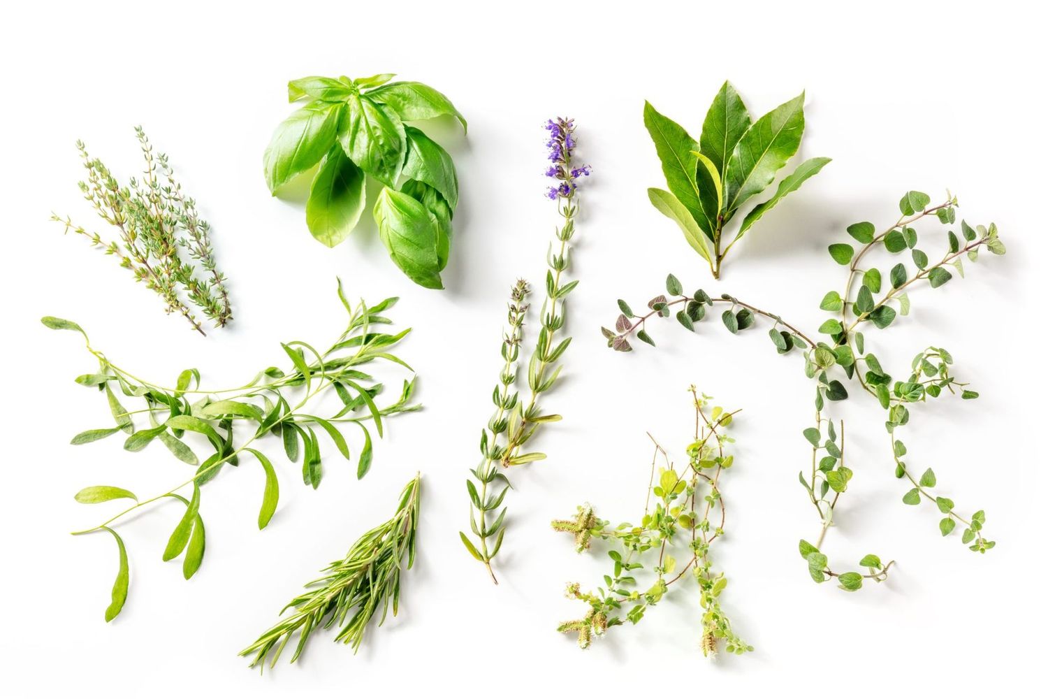 Herbs de Province Infused Olive Oil