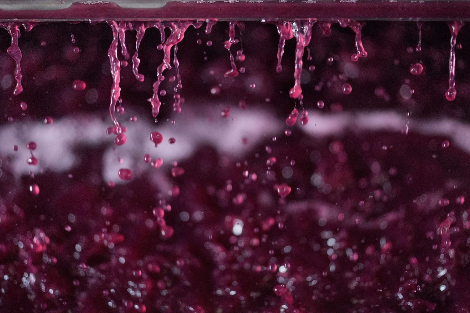 Organic Red Wine Vinegar