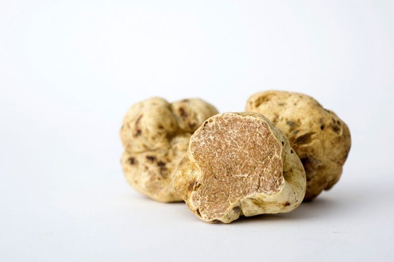 White Truffle Oil