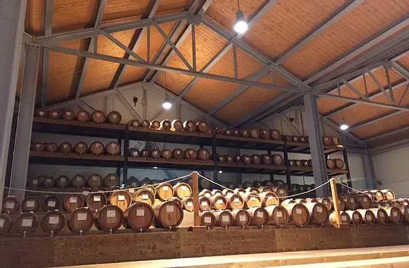 25 year aged Balsamic – UP Malto Denissimo Dark