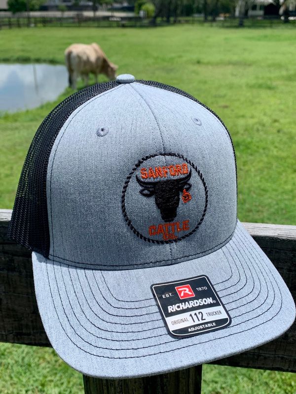 Grey / Black Embroidered Snap Back