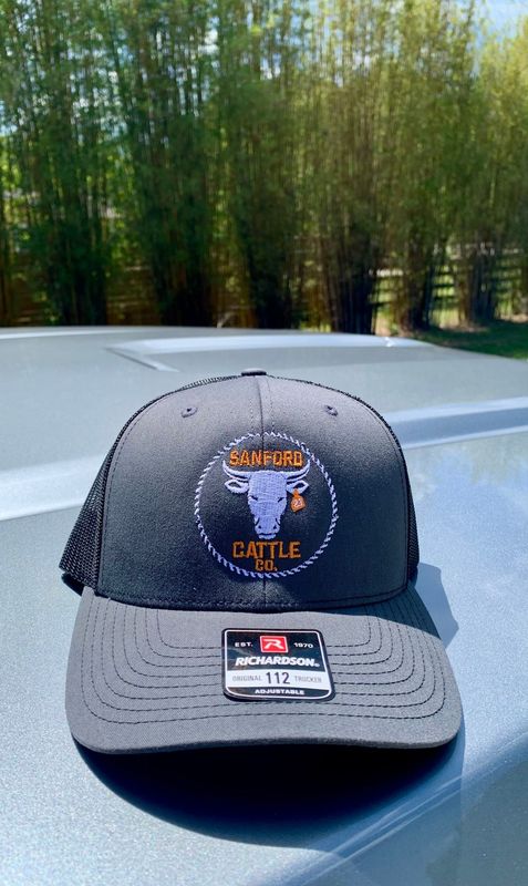 Grey / Black Embroidered Snap Back