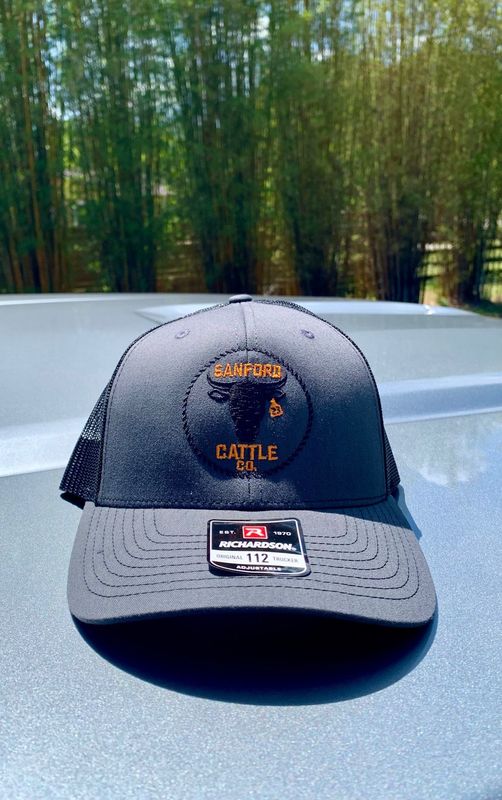 Grey / Black Embroidered Snap Back