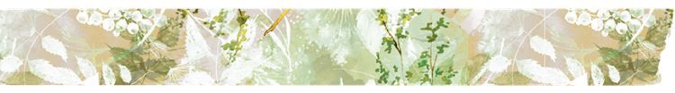 Washi-Tape 15mmx8m &#39;Schatten&#39;