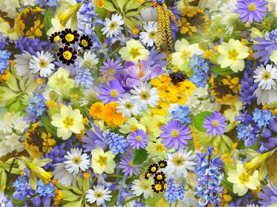 Blumige Düfte
