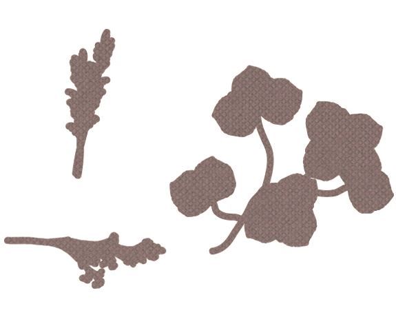 Stanzformen ‘Getrocknete Blumen’
