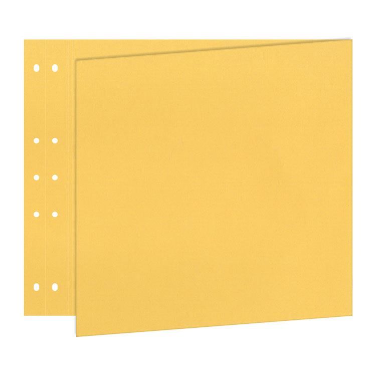 Reportage Seiten 30x60 &#39;Vanille&#39; (5 Stk.)