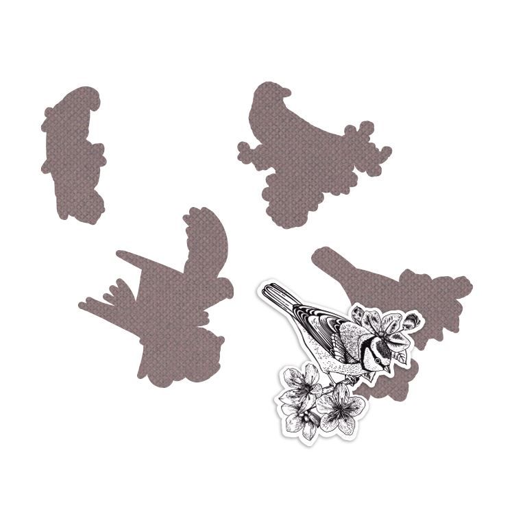 Matrices de découpe &#39;Beaux oiseaux&#39; (contour)