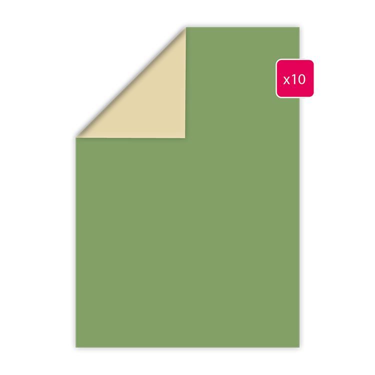 Duopapier A4 ‘Wiese-Hafer’ (10 Stk.)