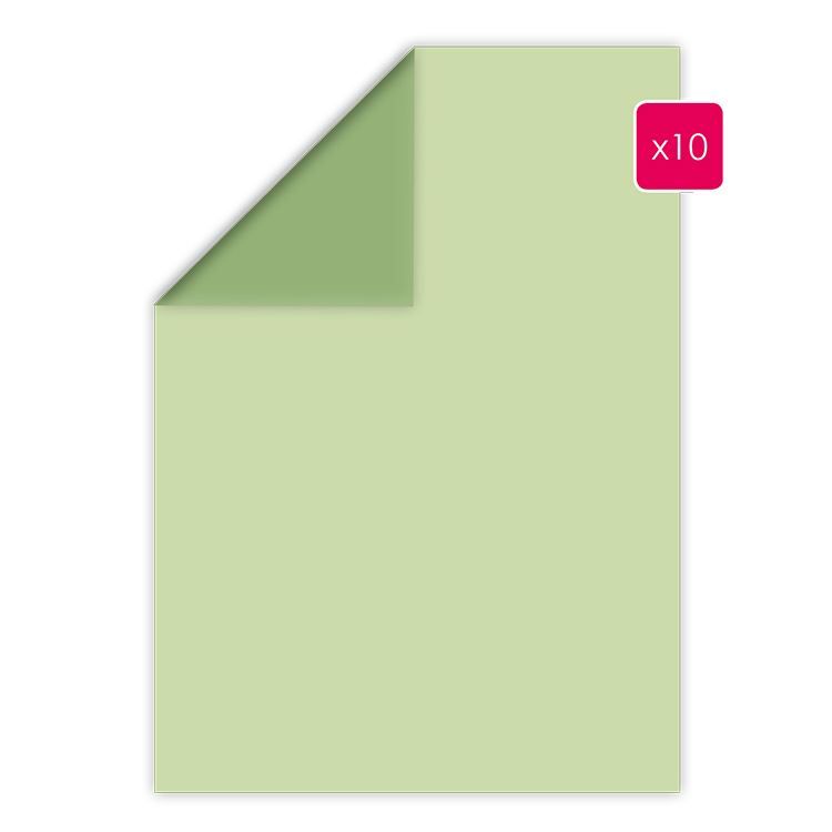 Duopapier A4 &#39;Seerose - Apfelgrün&#39; (10 Stk.)