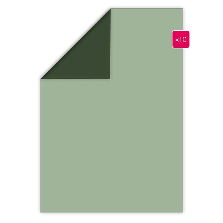 Duopapier A4 ‘Graugrün - Tannengrün’ (10 Stk.)