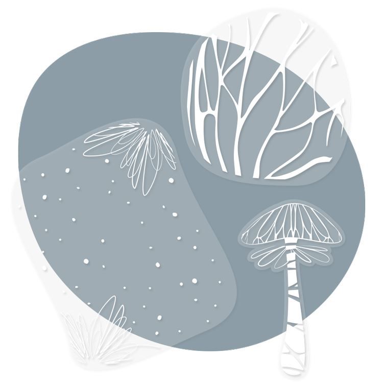 Acetat-Figuren ‘Zauberwald’