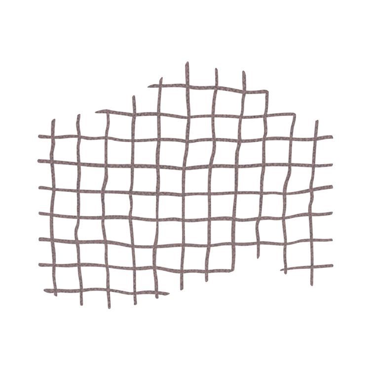 Stanzformen 'Zierstreifen Zitrusfrüchte'