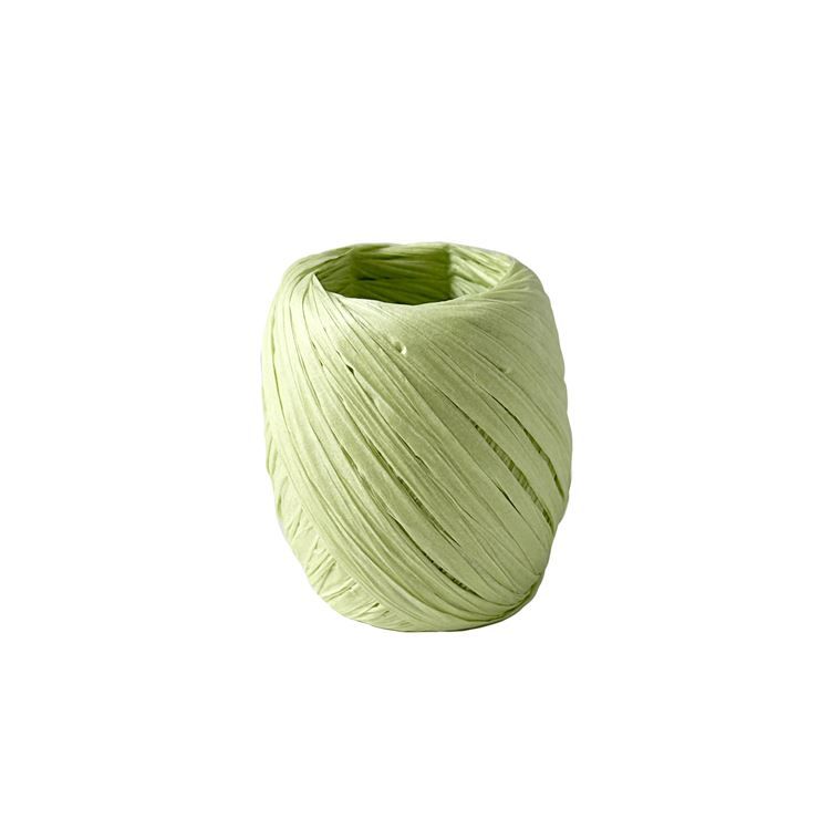 Bast ‘Apfelgrün’ 20m x 3cm - 15 g