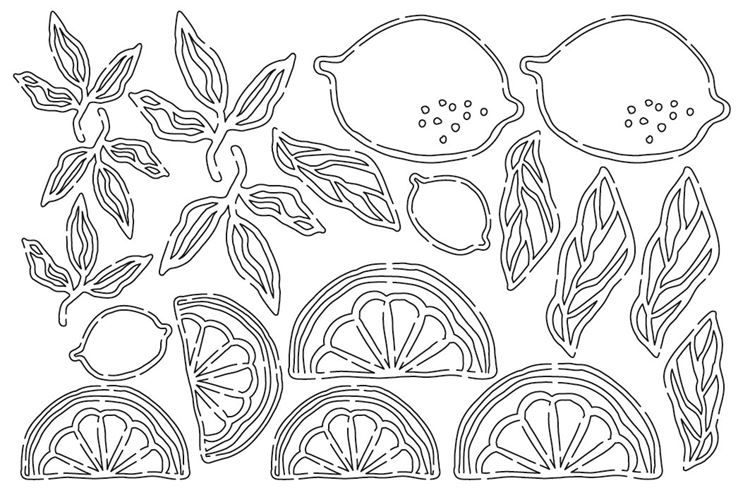 Konturenfiguren 'Zitrusfrüchte'