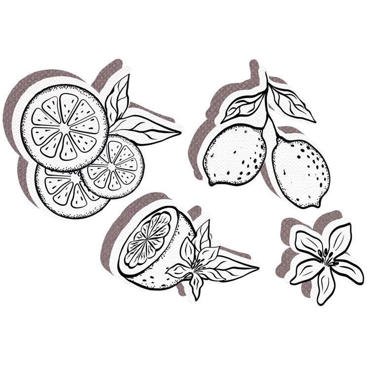 Stanzformen ‘Zitrusfrüchte’