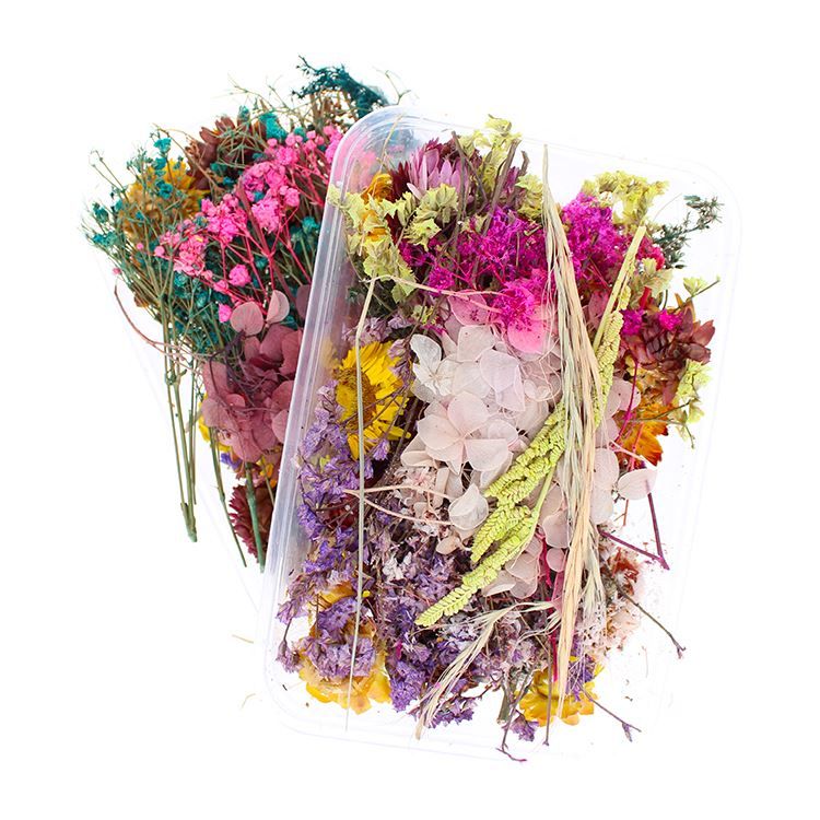 Echte getrocknete Blumen (eine Box)